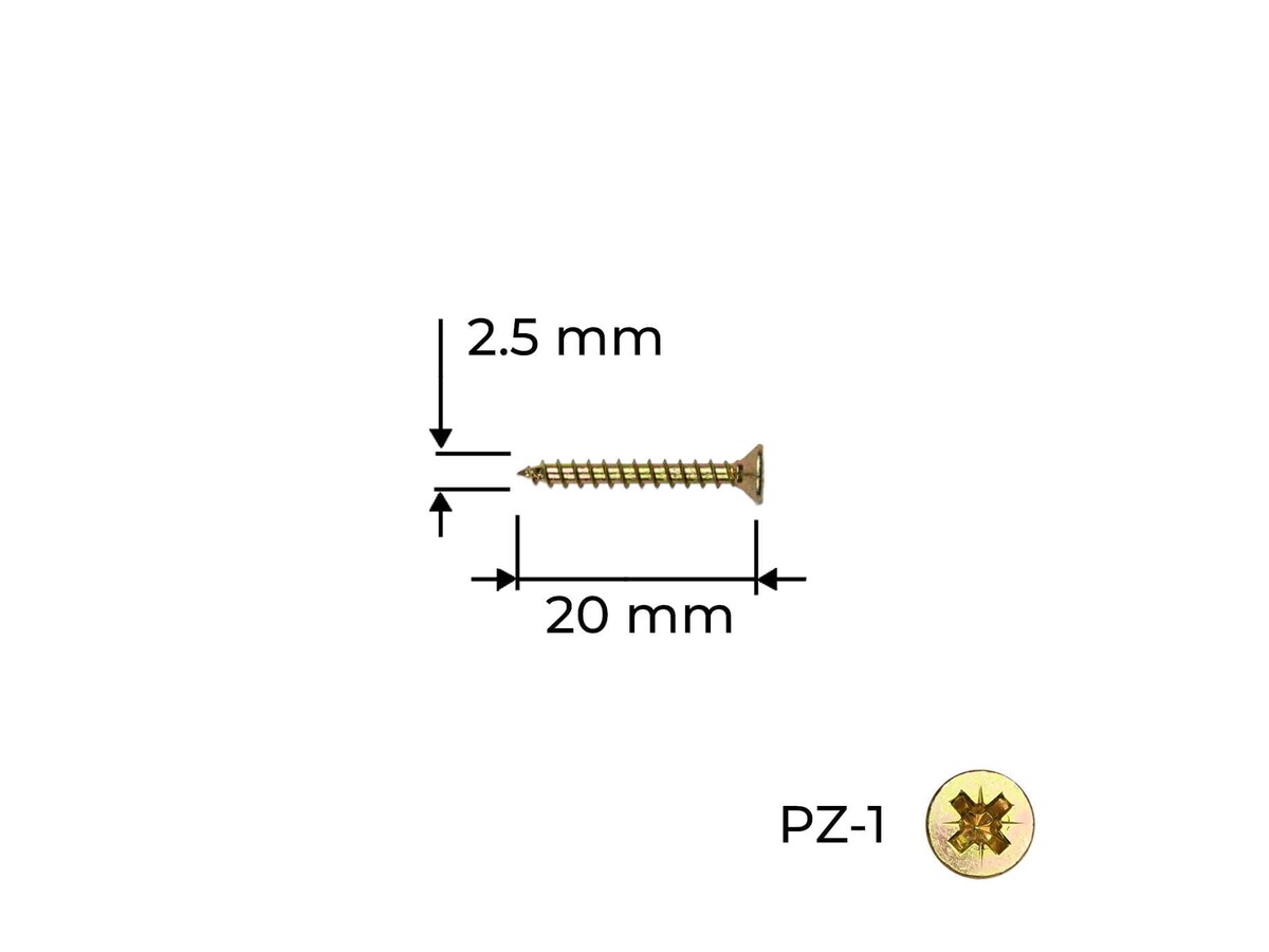 Surub Reisser 2.5 x 20 mm / 100 buc.