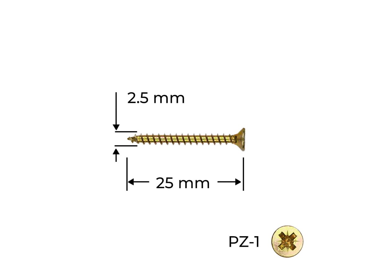 Surub Reisser 2.5 x 25 mm / 100 buc.
