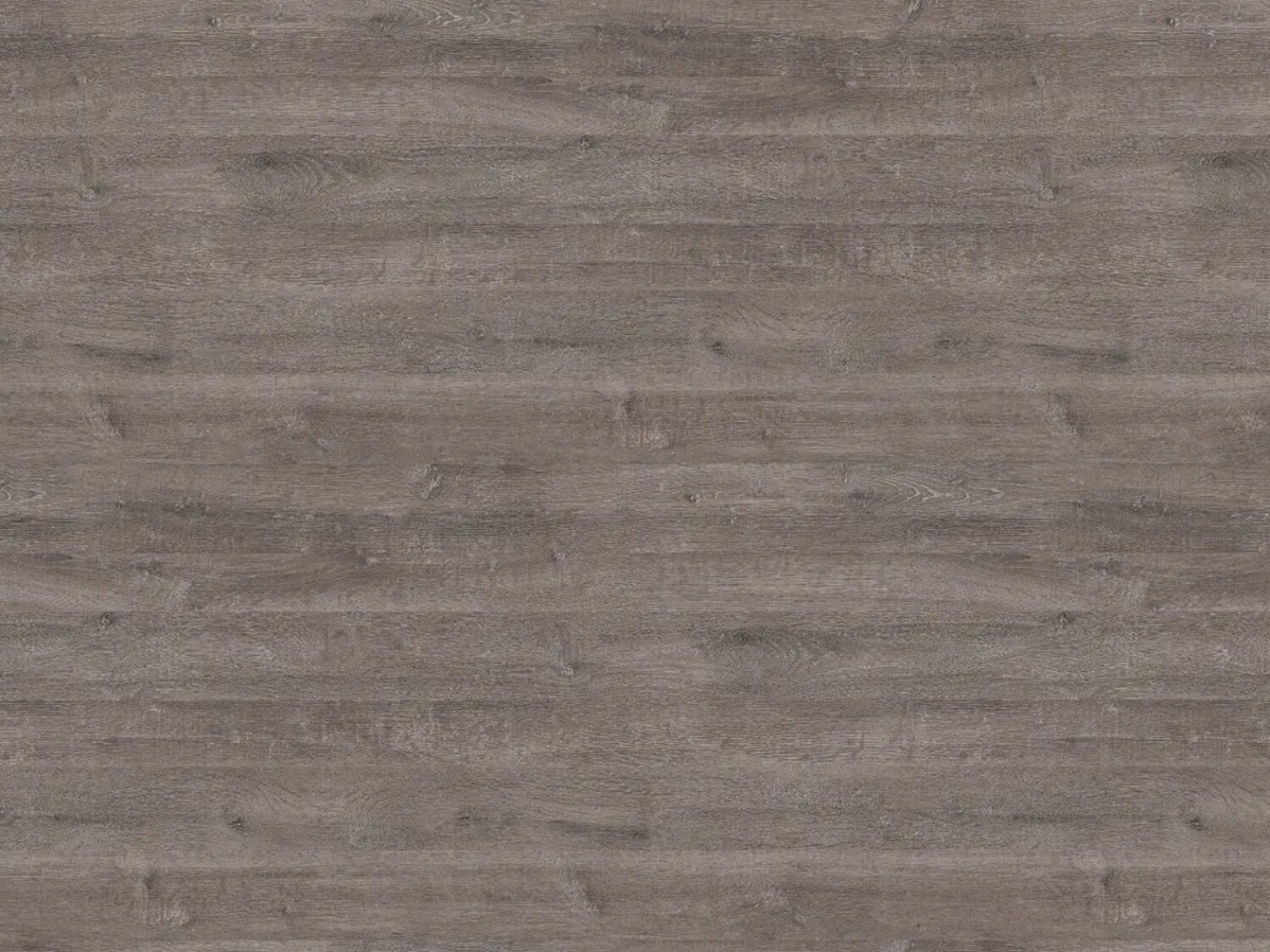 Panou Spate EGGER – Stejar Whiteriver Gri Maro H1313 ST10 – 4100 x 640 x 8 mm
